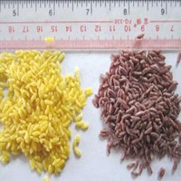 Extrudeuse Modèle 78 pour Ligne de Traitement du Riz Konnyaku Miracle, Riz Artificiel Fortifié Konjac Shirataki, Moulin à Farine de Plantes, Moteur de Moulin à Farine