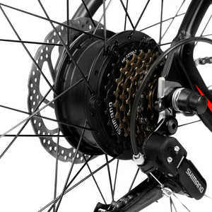<span class=keywords><strong>Quad</strong></span> électrique 350W 48V 12Ah 7 vitesses avec moteur avant, cadre en alliage d'aluminium, longue autonomie, charge rapide, vélo léger au lithium - Product Image 6