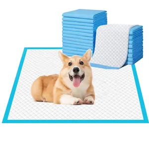 Pet eğitim malzemeleri 1g 2g 3g 4g 5g SAP süper emici tek kullanımlık pet eğitim köpek yavru pedleri