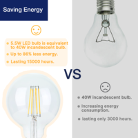 Ampoule LED décorative Edison à filament dimmable à économie d'énergie, blanc chaud 2700K, 5,5W, G95 E27 E26, verre transparent, pour café, hôtel