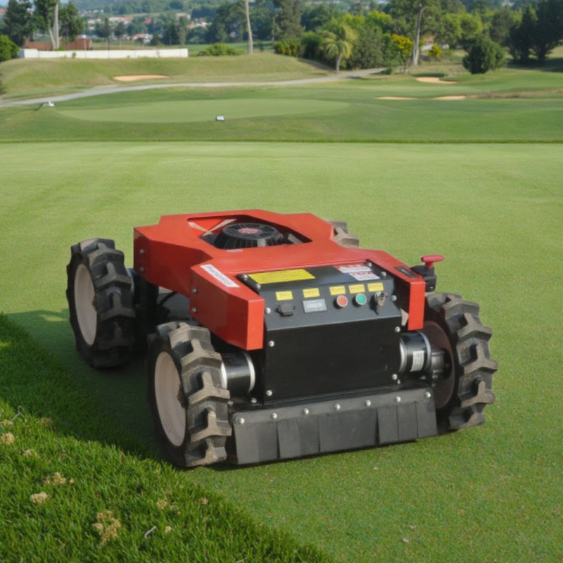 Remote Control Robot 4 Wheel Electric