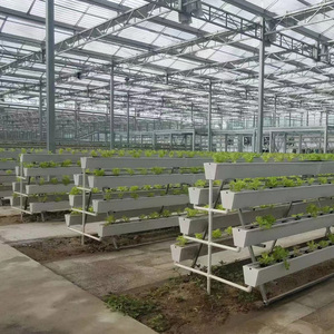 <strong>Large</strong> Automatic Strawberry Growing System with PVC <strong>Plant</strong> Growing <strong>Trough</strong> and Glass Cover for Garden or Greenhouse - Product Image 4