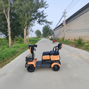 Triciclo Eléctrico de 3 Ruedas para Personas Mayores, de Una Sola Velocidad, con Cesta de 2 Filas, 48v 600W, Scooter para Adultos, Suministro de Fábrica - Product Image 1