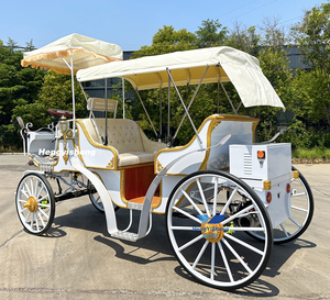 Calèche électrique de princesse brune chariot touristique de mariage calèche de cendrillon à vendre - Product Image 5