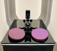 Filtre passe-bande en verre optique personnalisé avec interférence 500 nm, transmission de 90 % pour caméras et instruments d'éclairage
