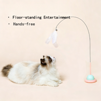 Tête de remplacement en fil d'acier et plumes pour jouet à chat à ventouse, pour l'auto-amusement des chats, jouets éducatifs et fournitures pour animaux de compagnie