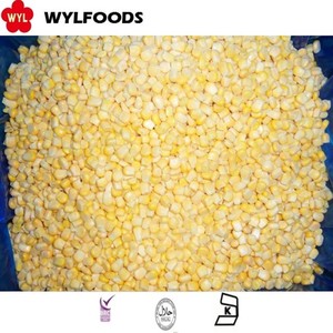 OEM/ODM IQF <span class=keywords><strong>maïs</strong></span> <span class=keywords><strong>sucré</strong></span> congelé de haute qualité pour Offres Spéciales en vrac pour la vente en gros et au détail - Product Image 2