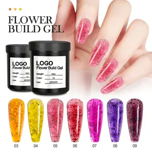 2023 caixuan Hot-Selling Professional Private Label Quick flower Build gel For Nail Extension Gel In Kg