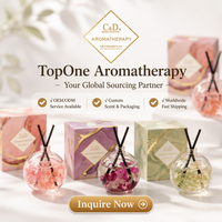 Diffuseur de roseaux haut de gamme avec fleurs naturelles préservées, huile essentielle naturelle, coffret cadeau de parfum d'ambiance pour l'aromathérapie, vente en gros
