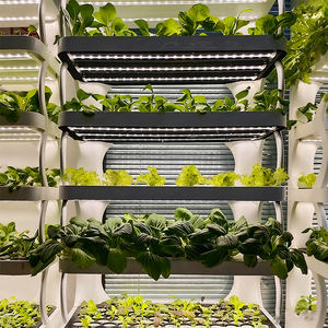 Fioriera Intelligente da Interno - Sistema Idroponico Verticale Smart con Luce <span class=keywords><strong>LED</strong></span> per la Coltivazione Domestica di Verdure Tutto l'Anno - Product Image 4