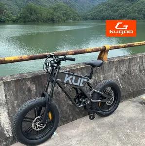 Kugoo T01 Eu Stock Wholesale E-bike Electric 750w Electric Fat Tire Bicycle With 20 Inch Electric Mountain Bike