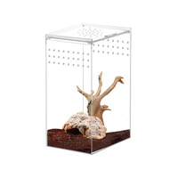 Boîte d'élevage en acrylique transparent pour reptiles, tarantules, scorpions, isopodes, invertébrés, mantes - Mini terrarium tendance