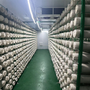 Commercial Turnkey Mushroom Farm Smart Growing Container with Automatic Humidity Temp Climate Control System Mushroom Growing - Product Image 4