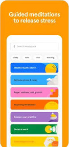 แอปพลิเคชัน Wise Hustlers Meditation สำหรับการดูแลสุขภาพจิต ซอฟต์แวร์มือถือ คีย์ดิจิทัล พร้อมบริการสนับสนุนตลอด 24 ชั่วโมง มีสินค้าในสต็อก - Product Image 5