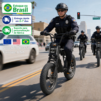 Vélo électrique ZUMI US Brazil Stock 48V à pneus larges 750W pour adultes avec porte-bagages arrière et batterie amovible, vente en gros OEM ODM