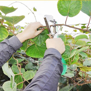 Buena máquina para atar plantas <span class=keywords><strong>de</strong></span> jardín, herramienta <span class=keywords><strong>de</strong></span> cinta adhesiva giratoria para encuadernación <span class=keywords><strong>de</strong></span> ramas para plantas, vides, uvas, frambuesas, tomates y verduras - Product Image 4
