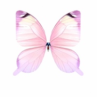 En stock : Avion papillon bionique LED pour spectacle de mariage, idéal pour les événements commerciaux nocturnes en extérieur