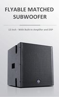 Modul Subwoofer 3 Saluran Kelas D Morin Line Array COX-12B DSP Kayu Tahan Air 12 inci Tegangan Lebar Daya Keluaran 1600W