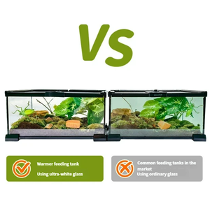 Terrarium en verre à haute transparence <span class=keywords><strong>Crystal</strong></span> Clear Paludarium Design anti-échappement écologique pour l'aménagement paysager bioactif Vivarium - Product Image 3