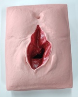 Modelo de entrenamiento de Ciencias Médicas DARHMMY para la práctica de sutura vulvar de obstetricia y ginecología