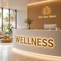 Enseignes LED rétroéclairées personnalisées pour entreprises – Lettres en métal haute luminosité pour salon, logo mural intérieur/extérieur, décoration de marque