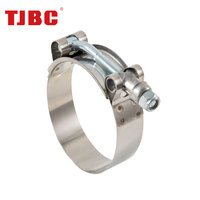 Pince de serrage à boulon en T Semisteel à bande passante robuste de 19mm