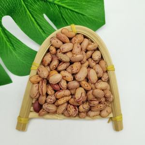 ความชื้น15% สูงสุดธัญพืชสุขภาพใหม่ล่าสุดพืชอาหารยาวรูปร่างรอบแสงจุดด่างดำไต Pinto ถั่ว - Product Image 6