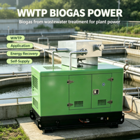 Groupe électrogène diesel 165 KVA avec radiateur en cuivre pour usine avec AVR