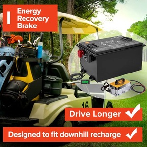 Dedicated <b>Golf</b> Ball Lithium Ion <b>Battery</b> Pack Kit with 51.2V 105A & 51.2V 160A Specifications - Product Image 4