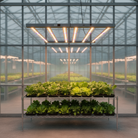 Barra de Luces LED para Cultivo SLTMAKS Samsung de 720W, para Invernadero, Jardín Interior, Todas las Plantas, Espectro Completo Rojo y Azul