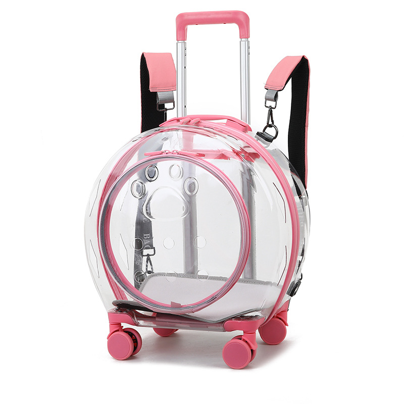 Version améliorée rose entièrement transparente