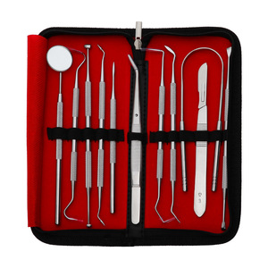 Stainless Steel Dental Tool Set 11-Piece Portable Tartar Remover Oral Care Probe Home Use - Product Image 2