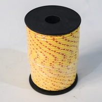 Vente en gros, corde ronde tressée colorée de 3 à 10mm, corde en Nylon et polypropylène de 6mm
