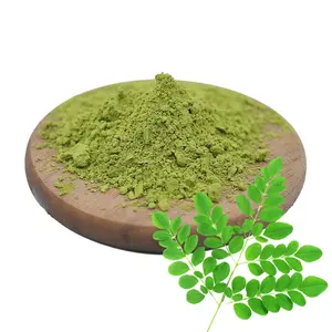 Natural Moringa Folha Extracto Moringa Folha Pó Benefícios saúde