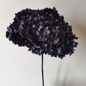 Bán Buôn Trang Trí Hoa Khô Hoa Tú Cầu Hoa Màu Hồng Nhỏ Lá Anna Bảo Quản Tú Cầu Với Duy Nhất Dài Thân Cây - Product Image 3