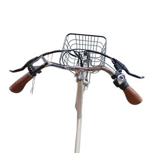Bicicletta Elettrica da Città con Telaio in Acciaio da <span class=keywords><strong>26</strong></span> Pollici, Cerchi in Lega di Alluminio, Motore Posteriore da 36V250W, Cambio NEXUS a 3 Velocità, Cestino e Portapacchi - Product Image 5