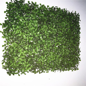Césped <span class=keywords><strong>artificial</strong></span> cerca de <span class=keywords><strong>eucalipto</strong></span> cerca <span class=keywords><strong>artificial</strong></span> cerca verde - Product Image 4