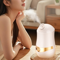 Type d'équipement de beauté Vapeur faciale Vapeur de sauna Vapozone Vapeur faciale d'humidité de peau chaude