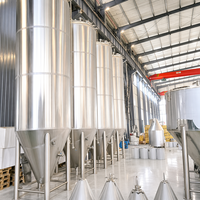Cuve de Fermentation Industrielle Tonsen 1000L à Double Enveloppe en Acier Inoxydable pour Ligne de Production de Bière