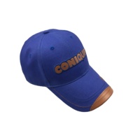 Gorra de Béisbol Personalizada de 6 Paneles, 100% Algodón, con Logotipo Bordado, Venta al Por Mayor, Visera Curva, Cierre de Gancho y Bucle