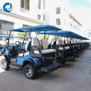 Carro Eléctrico de Turismo para Recorridos por Parques, Campus, Aeropuertos y Terrenos Accidentados, con 2 Asientos, Directo de Fábrica - Product Image 4