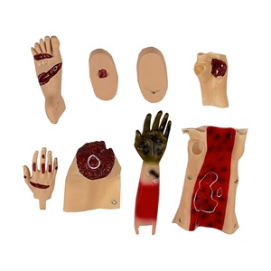 Maniquí de Evaluación de Trauma de 16 Componentes para Entrenamiento y Enseñanza en Ciencias Médicas - Product Image 3
