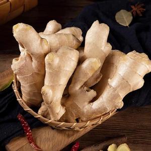 高品質中国産新鮮生姜 GAP認証済 山東省農場直送 ヘリブランド 中国産 10kg 調理用 - Product Image 4