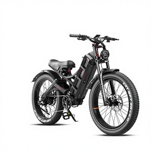 Batterie de vélo électrique Eahora Romeo Pro 48V 60Ah, moteur personnalisé, capacité 250W, moteur à moyeu à puissance constante, vélo électrique de montagne - Product Image 1