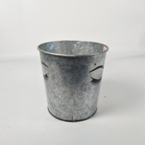 Fournitures pour <span class=keywords><strong>jardin</strong></span> et maison, seau à fleurs en métal galvanisé, <span class=keywords><strong>petit</strong></span> pot de fleurs vintage, pots pour la décoration de la maison, de la ferme et de la table - Product Image 3