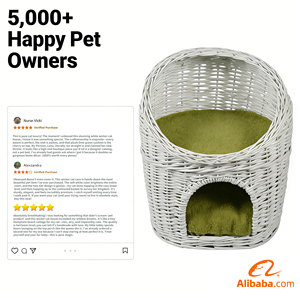 Cama Redonda Moderna para Gatos <span class=keywords><strong>de</strong></span> Mimbre Blanco con Cojín Verde Suave Extraíble - Cesta <span class=keywords><strong>de</strong></span> Ratán Resistente para que el Gato Duera Cómodamente en la Caja - Product Image 6
