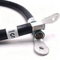Kabel Jumper Baterai Tembaga Berlapis Timah Tugas Berat dengan Terminal Cincin Ganda, Kabel Harness Tahan Suhu Tinggi untuk Solar dan Kelautan
