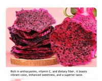 Groothandel Drakenvrucht Gebakken Drakenvrucht Pitaya Rode Drakenvrucht Rode Pitaya voor Snacks