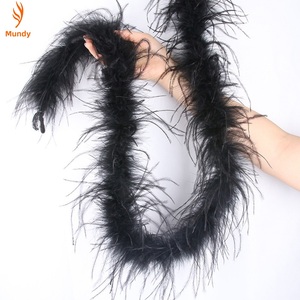 Boa en plumes d'autruche colorées, 2 verges, 1 à 5 plis, lot en vrac pour vêtements DIY et présentoirs de vitrine de fêtes - Product Image 3