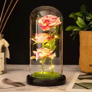 Drie Bewaarde Bloem Valentijnsdag Geschenken Ideeën Betoverde Led-verlichting In Glas Dome Eeuwige Rose Ornamenten
